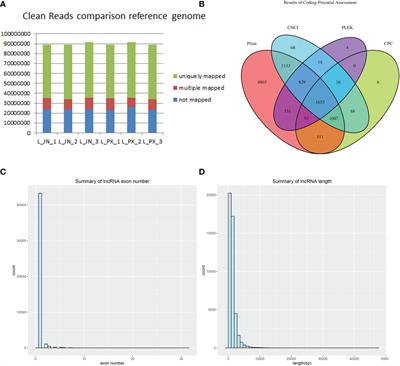 Identification and analysis of lncRNA, miRNA and mRNA related to subcutaneous and intramuscular fat in Laiwu pigs